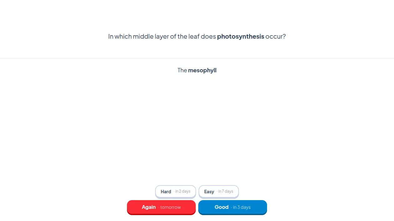 Studying a flashcard with Again, Hard, Good and Easy answer buttons showing the next review intervals